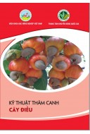 Kỹ thuật thâm canh cây điều 2017